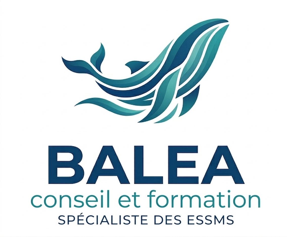 Logo Balea Conseil & Formation